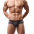 Herren-Slip Tom grau