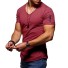 Herren-T-Shirt T2040 11