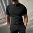 Herren-T-Shirt T2093 schwarz