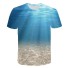 Herren-T-Shirt T2151 1