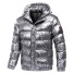 Herren-Winterjacke F1246 silbern