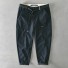 Herrenhose F1364 dunkelblau