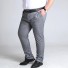 Herrenhose F1365 grau