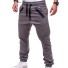 Herrenhose F1402 grau