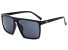 Herrensonnenbrille E2029 1