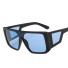 Herrensonnenbrille E2047 1