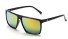 Herrensonnenbrille E2070 5