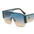 Herrensonnenbrille E2174 6