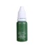 Hochwertige Permanent-Tattoo-Tinte. Farbtinte für Tätowierung und Permanent-Make-up. Tattoo-Tinte für Permanent-Tattoo und Make-up. 15 ml Green