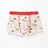 Jungen-Boxershorts mit Dinosauriern rot