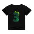 Jungen-Geburtstags-T-Shirt B1533 D