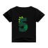 Jungen-Geburtstags-T-Shirt B1533 F