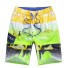 Jungen-Strandshorts mit Kamelen J1327 grün