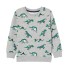 Jungen-Sweatshirt L577 A