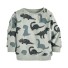 Jungen-Sweatshirt mit Dinosauriern D