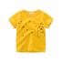 Jungen-T-Shirt B1436 C