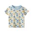 Jungen-T-Shirt B1492 C