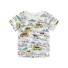 Jungen-T-Shirt mit Auto B1416 H