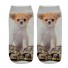 Kinder-Socken – Hunde 2