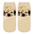 Kinder-Socken – Hunde 8