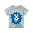 Kinder-T-Shirt T2551 D