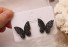 Kolczyki motyle damskie z cyrkoniami 4