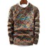 Kolorowy sweter męski F203 wielokolorowy