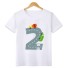 Koszulka dziecięca T2538 B