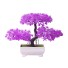 Künstlicher Bonsai C477 hellviolett