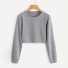 Kurzes Damen-Sweatshirt A19 grau