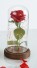 LED izzó vörös rózsa egy üvegedényben sötét
