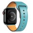 Lederarmband für Apple Watch 38 mm / 40 mm / 41 mm T860 türkis