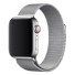 Magnetický řemínek pro Apple Watch 38 mm / 40 mm / 41 mm stříbrná