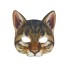 Maska kočka 1