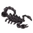 Męskie kolczyki skorpion J2162 czarny