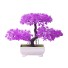 Mesterséges bonsai C477 világos lila