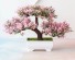 Mesterséges bonsai cserépben rózsaszín