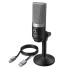 Mikrofon állvánnyal K1479 ezüst