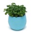 Mini-Blumentopf mit Schale C1168 blau