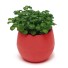 Mini-Blumentopf mit Schale C1168 rot