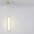 Minimalistický LED závěsný lustr 16 W Moderní oválné osvětlení se závěsným drátem 2 m Kovový nerezový lustr, teplá bílá 9 x 40 cm zlatá