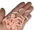 Momeală artificială 2 cm 100 buc roz