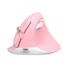 Mouse ergonomic Delux M618 Mini roz