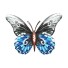 Nástěnná dekorace motýl H896 4