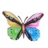 Nástenná dekorácia motýľ H896 3