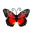 Nástenná dekorácia motýľ H978 11