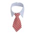 Nyakörv nyakkendővel 11