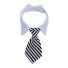 Nyakörv nyakkendővel 1