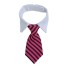 Nyakörv nyakkendővel 5