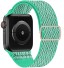 Nylonarmband für Apple Watch 38 mm / 40 mm / 41 mm T864 grün